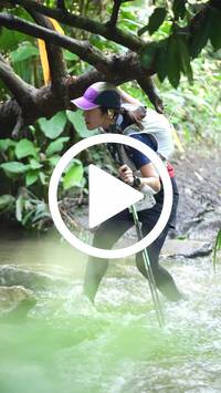 BIB:  <button type="button" onclick="openModal(27482466)" class="btn btn-primary btn-sm float-right" data-toggle="modal" data-target=".modal-high-quality">
                <i class="fa fa-download"></i> Download
                </button>